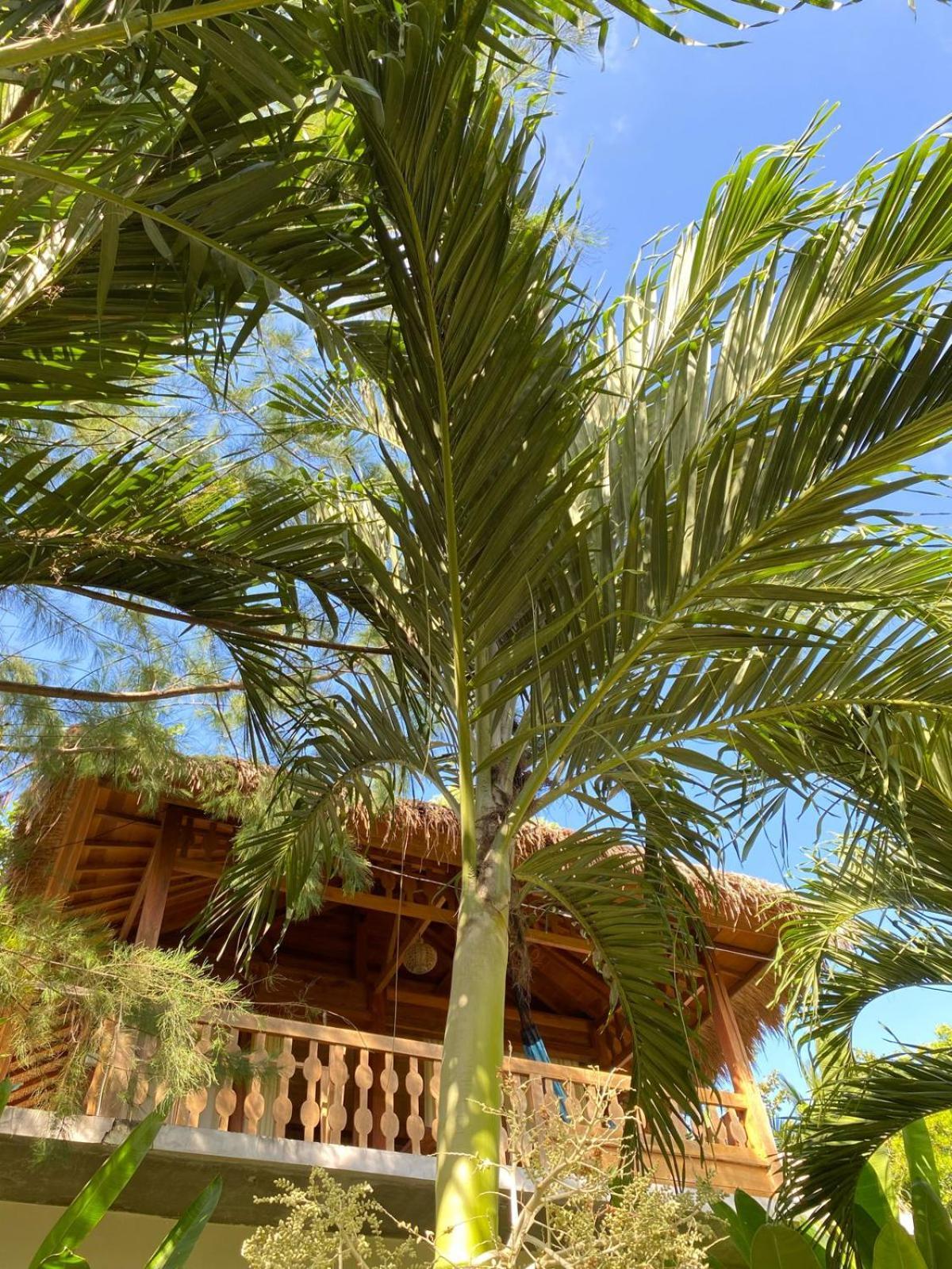 Palm Green Hotel Kuta  Buitenkant foto